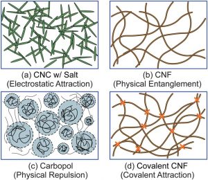 Colloidal Microcrystalline Cellulose 3D network structure diagram