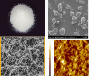 MCC gel thixotropic network structure in food systems