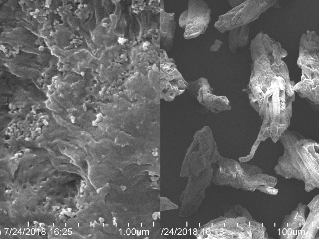 silicified microcrystalline cellulose particle structure diagram