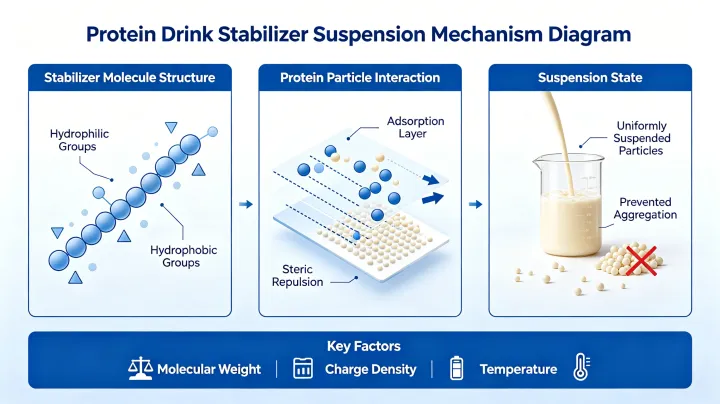 protein drink stabilizer suspension mechanism