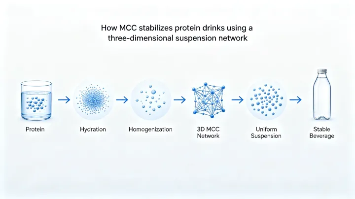 How MCC stabilizes protein drinks using a three-dimensional suspension network