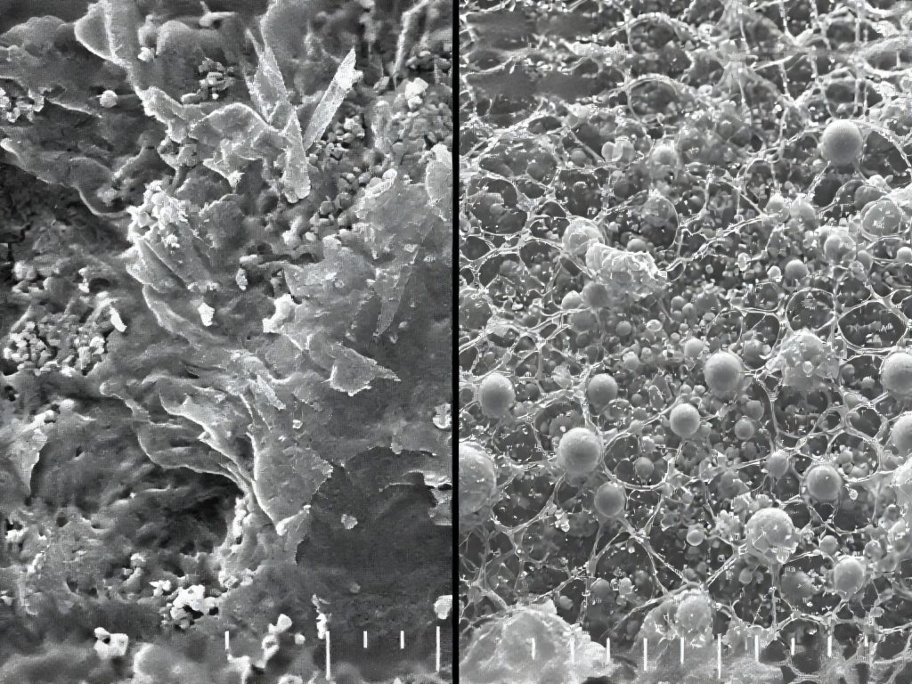 CMC reduces ice crystal growth in ice cream
