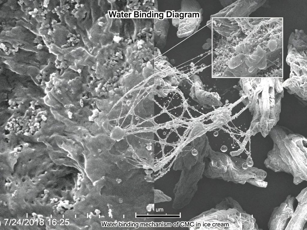 Water binding mechanism of CMC in ice cream