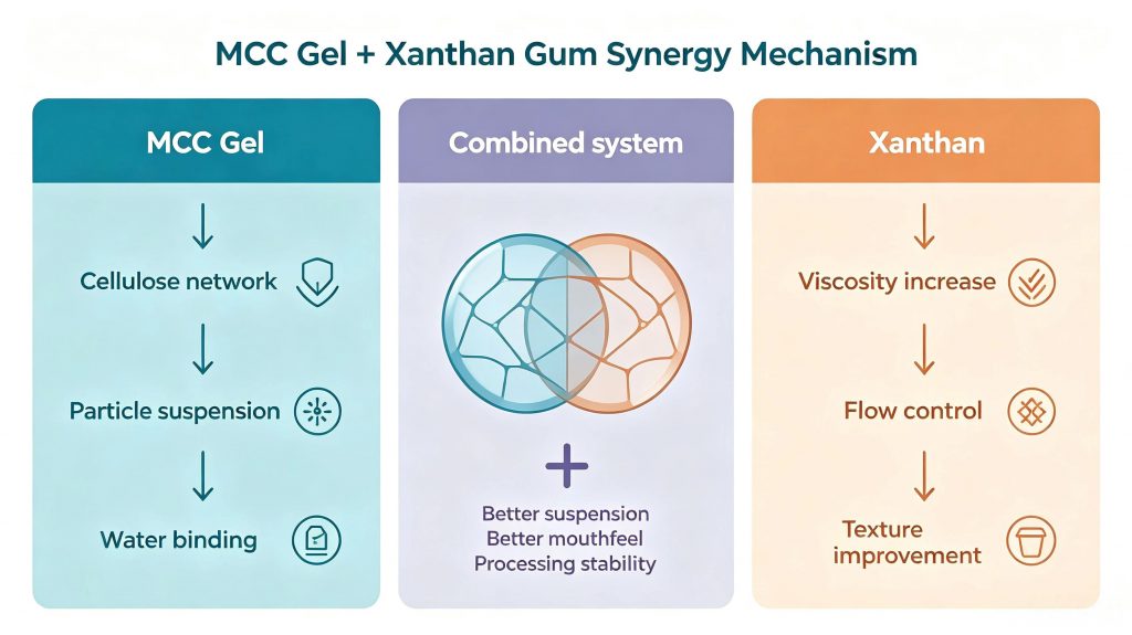 Synergistic stabilization mechanism of MCC Gel and xanthan gum in food formulations