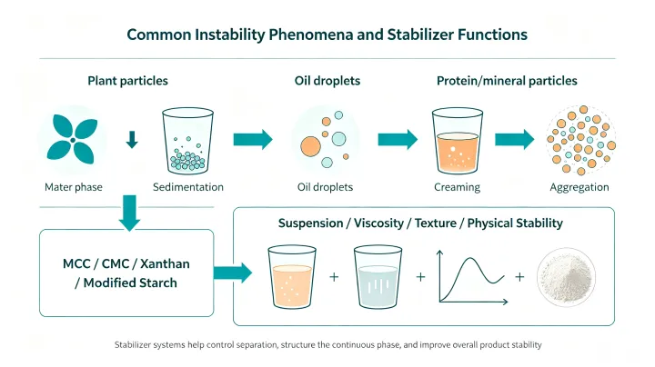 Plant-based beverage stabilizers for suspension, viscosity and physical stability