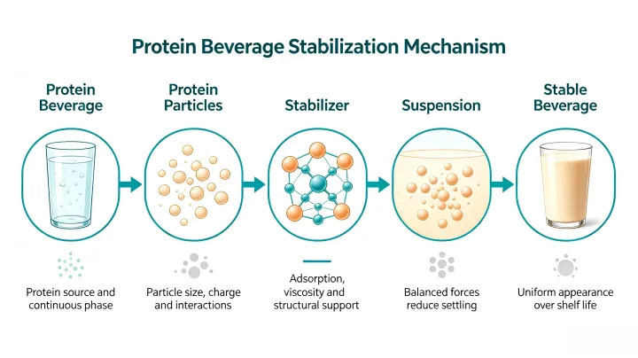 protein drink stabilizers for beverage stability