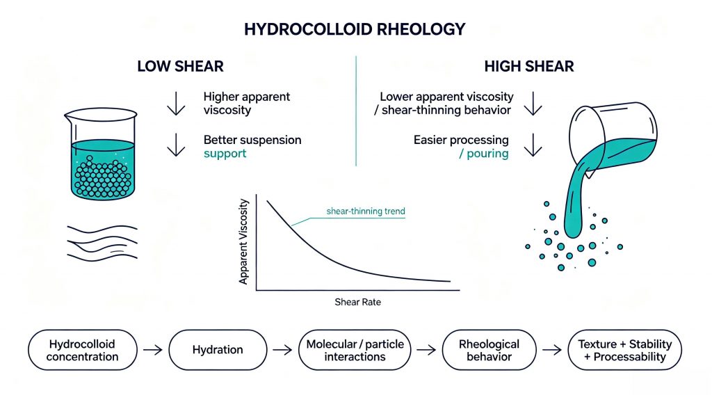 Hydrocolloid rheology and viscosity behavior in food formulations