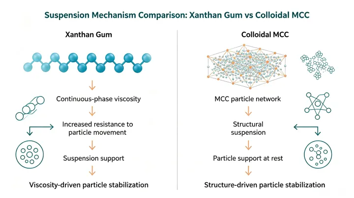 Xanthan Gum vs MCC stabilization mechanism for food and beverage formulations